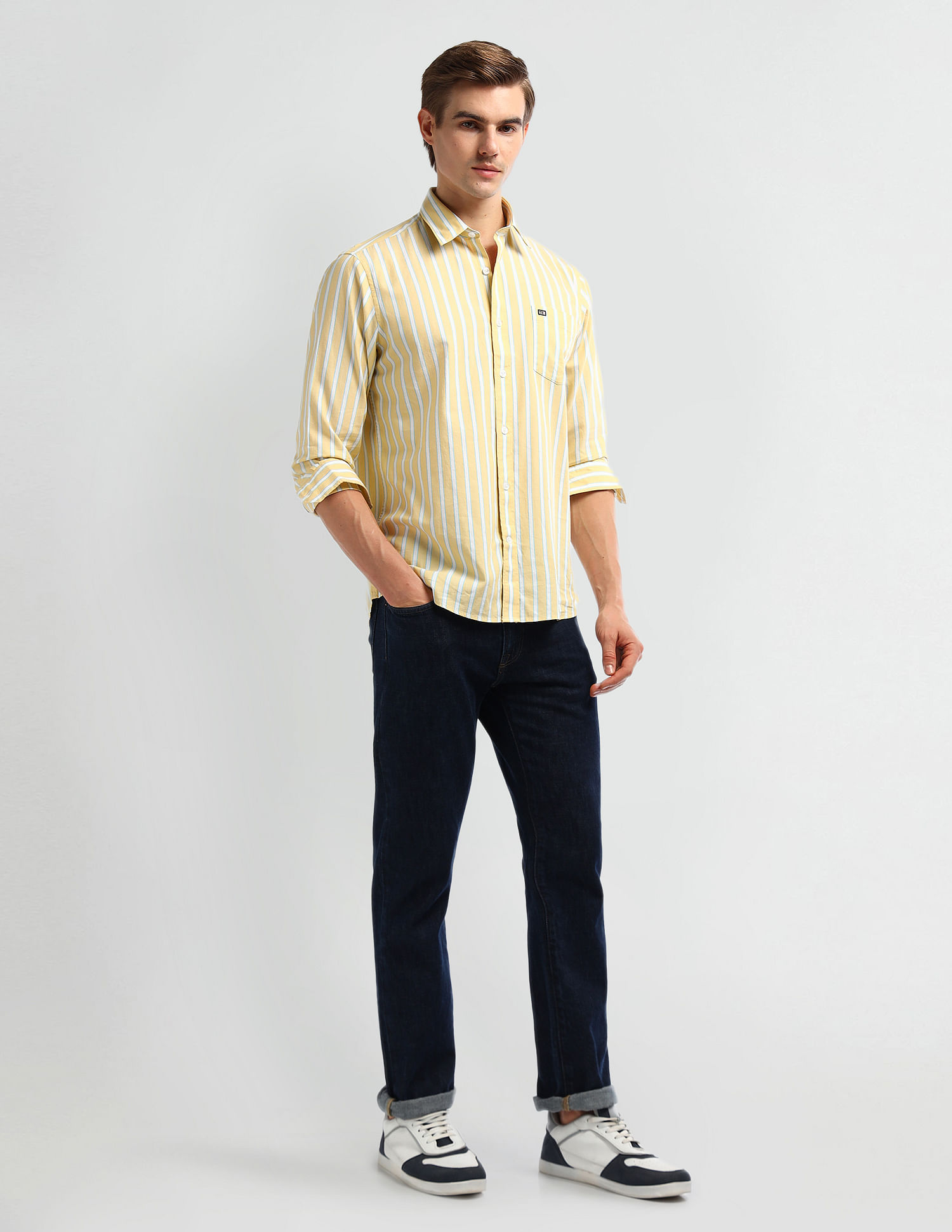 Arrow Sport Vertical Stripe Cotton Shirt