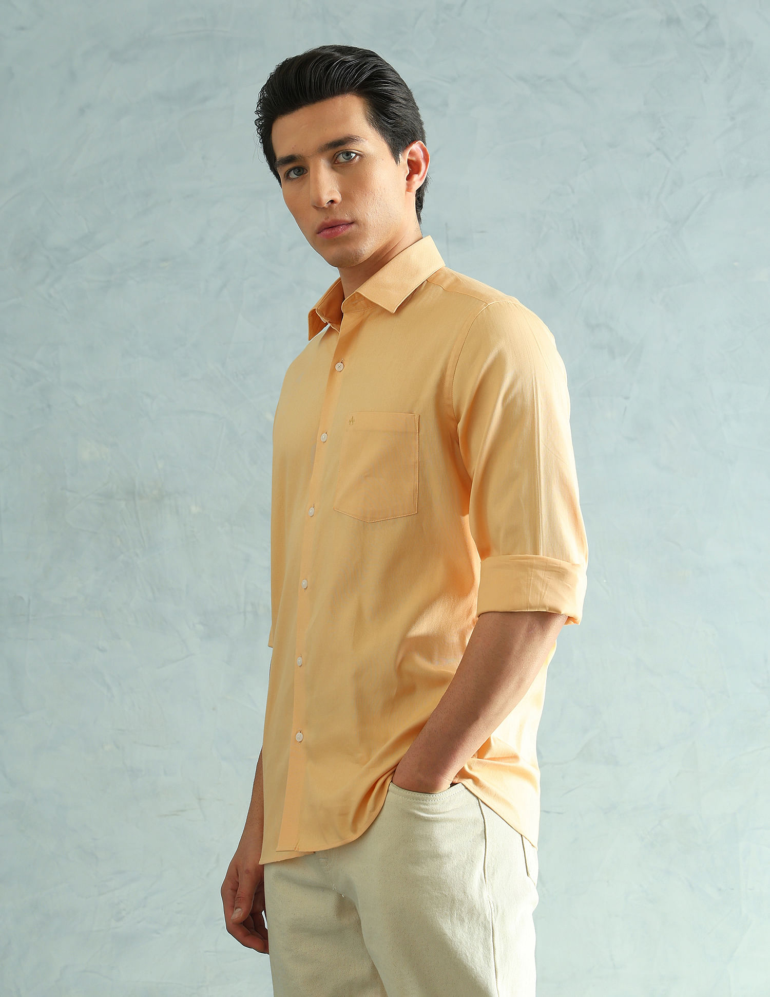 Arrow Full sleeves Slim Fit Smart Formal Shirt