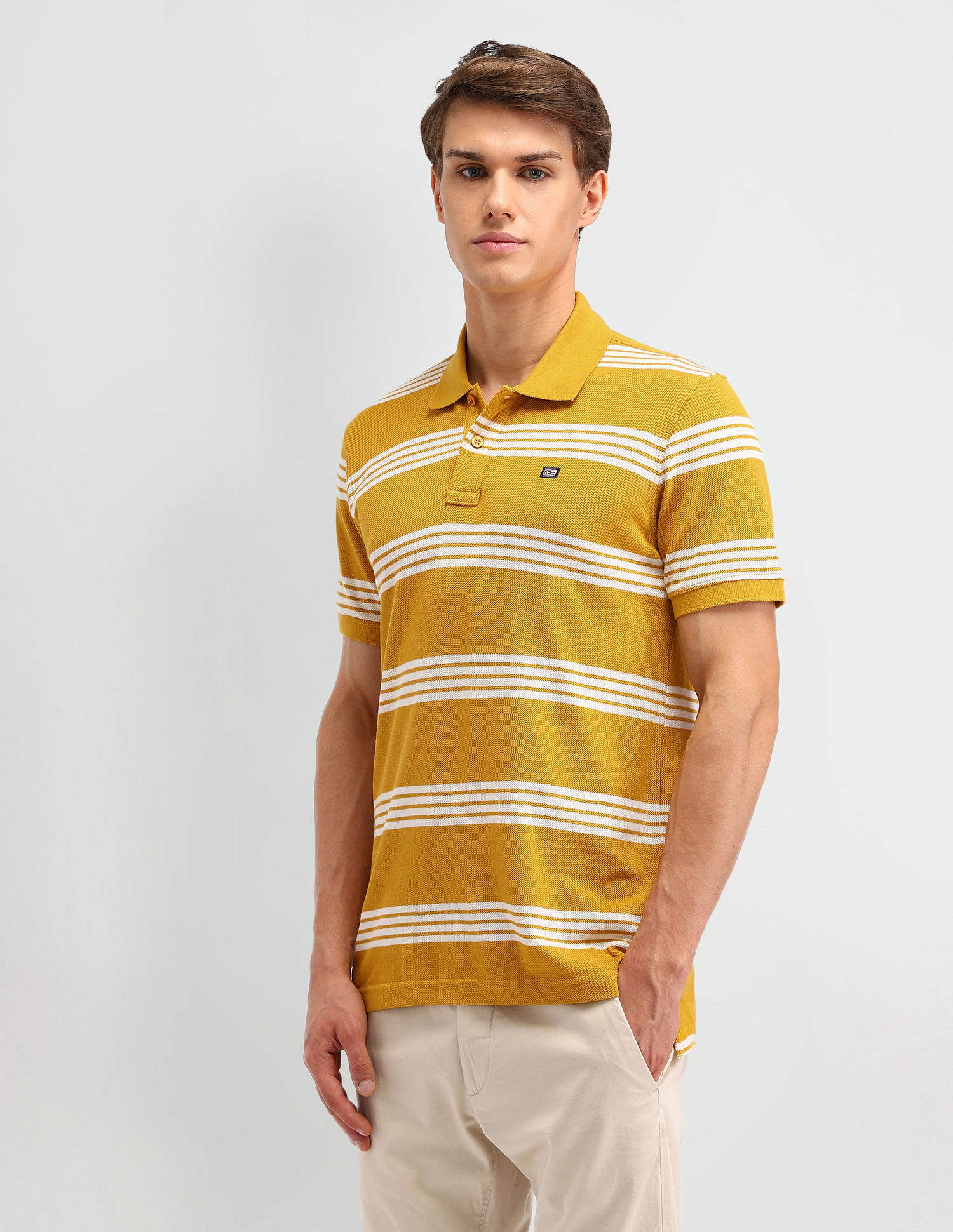 Arrow Sport Striped Regular Fit Polo Shirt