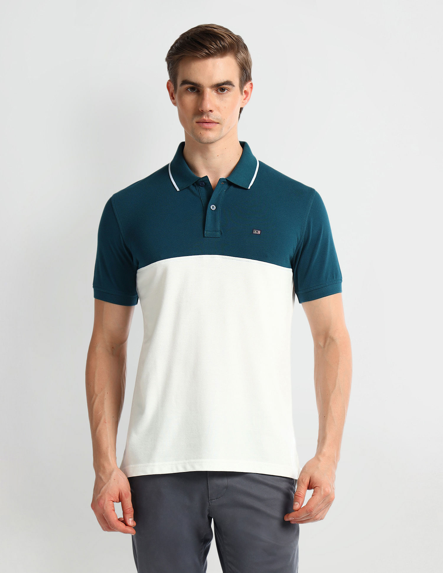 Arrow Sport Regular Fit Clourblocked Polo Shirt