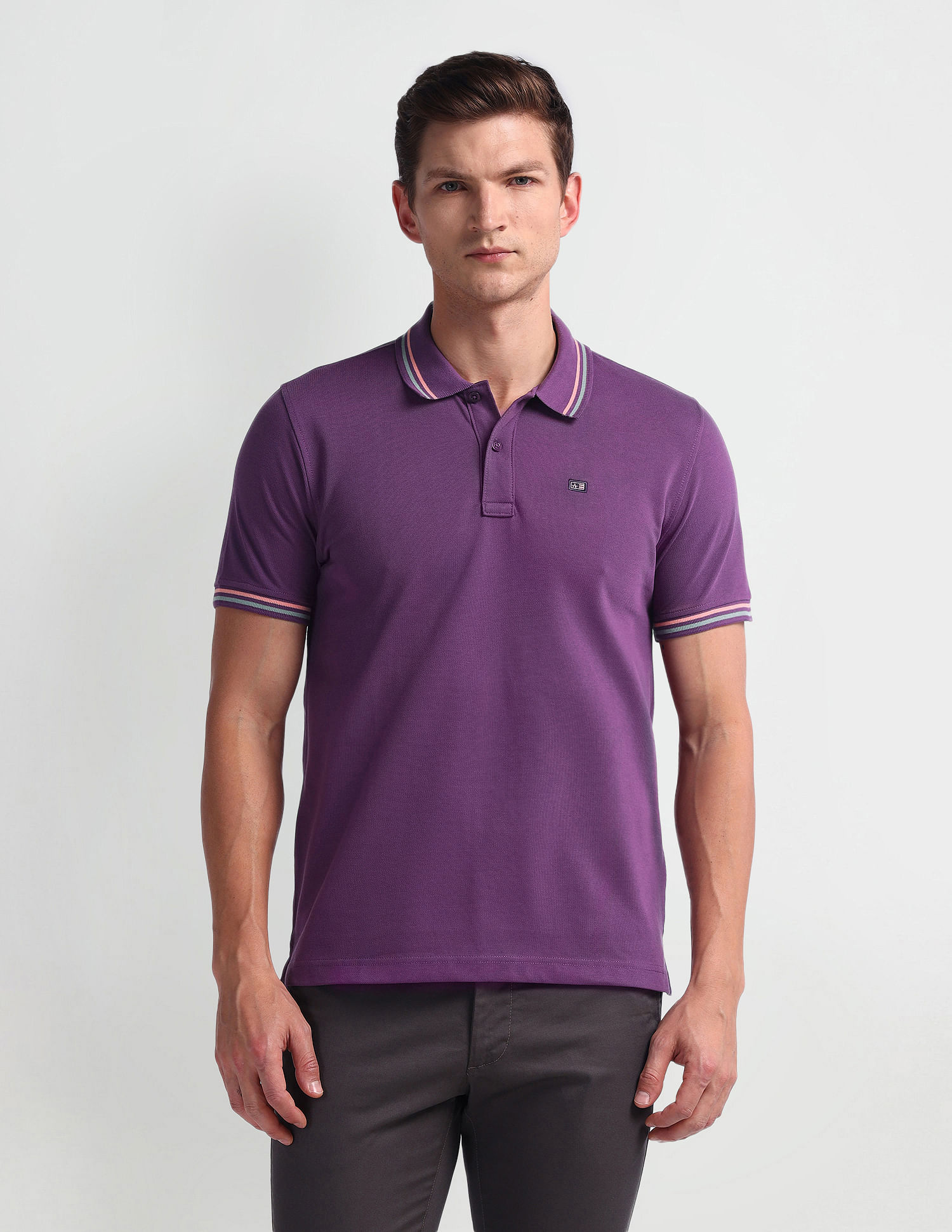 Arrow Sport Striped Collar Polo Shirt