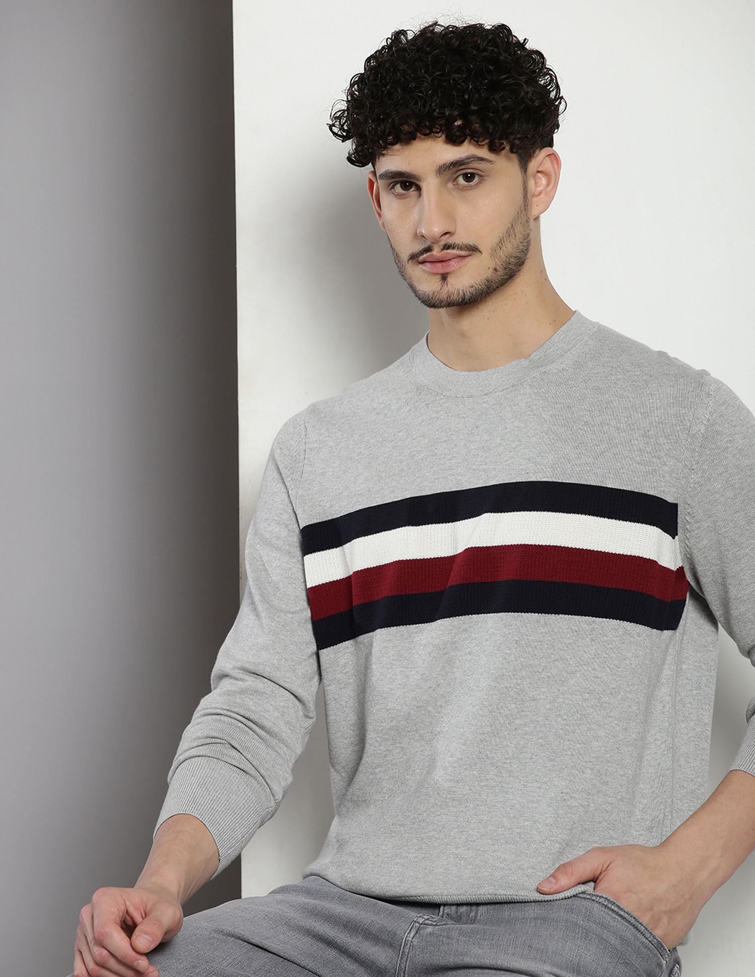 Tommy Hilfiger Transitional Cotton Brand Stripe Sweater
