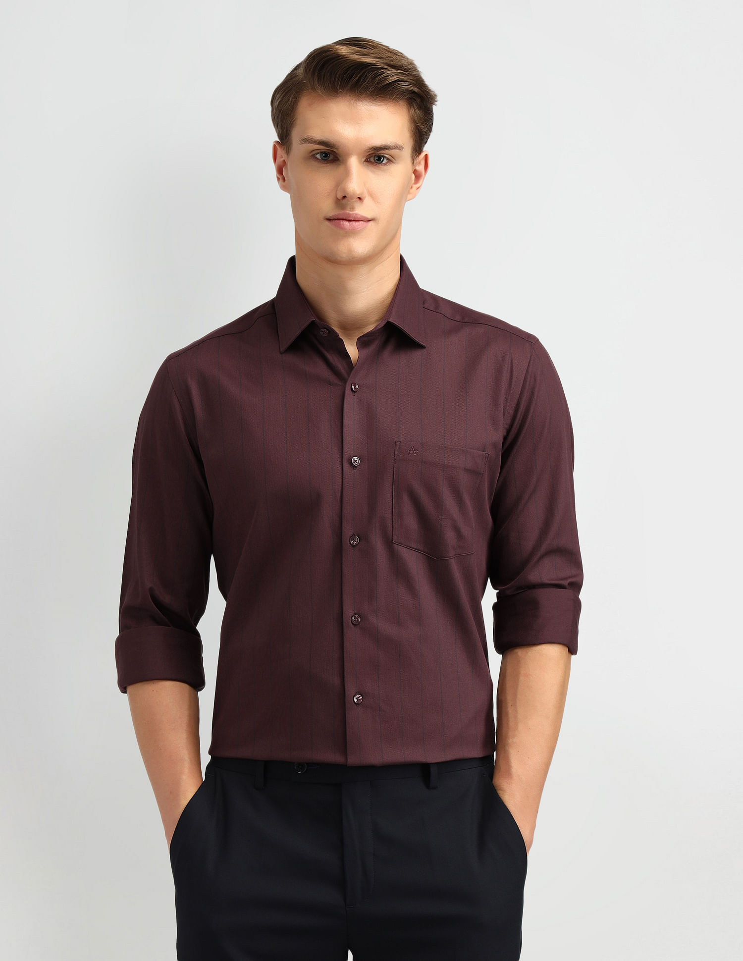 Arrow Slim Fit Vertical Striped Shirt