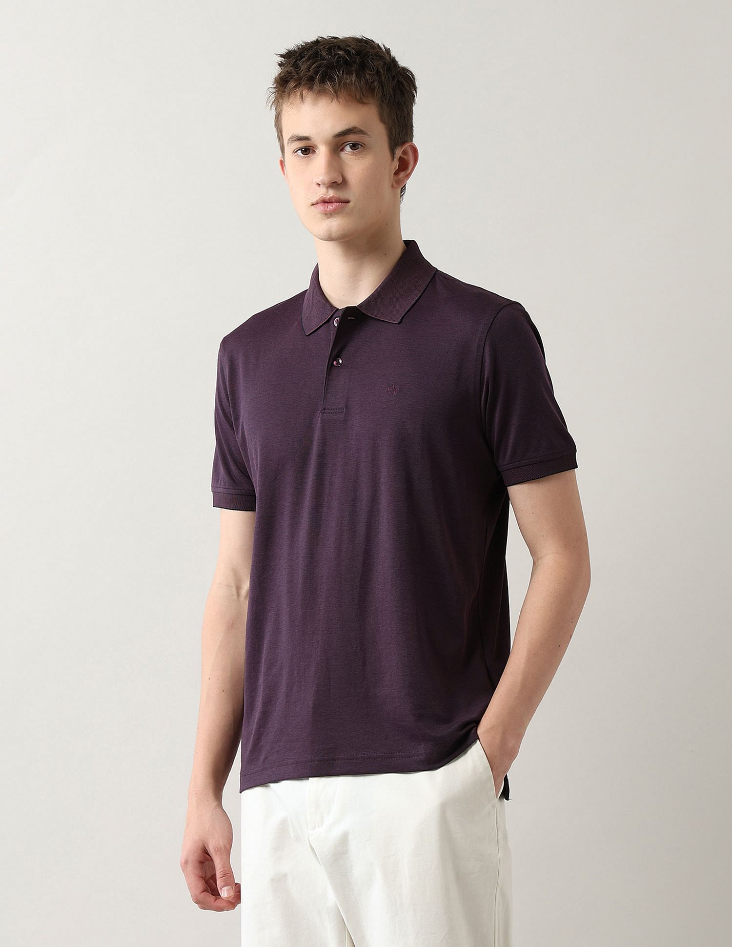 Arrow Textured Regular Fit Polo Shirt