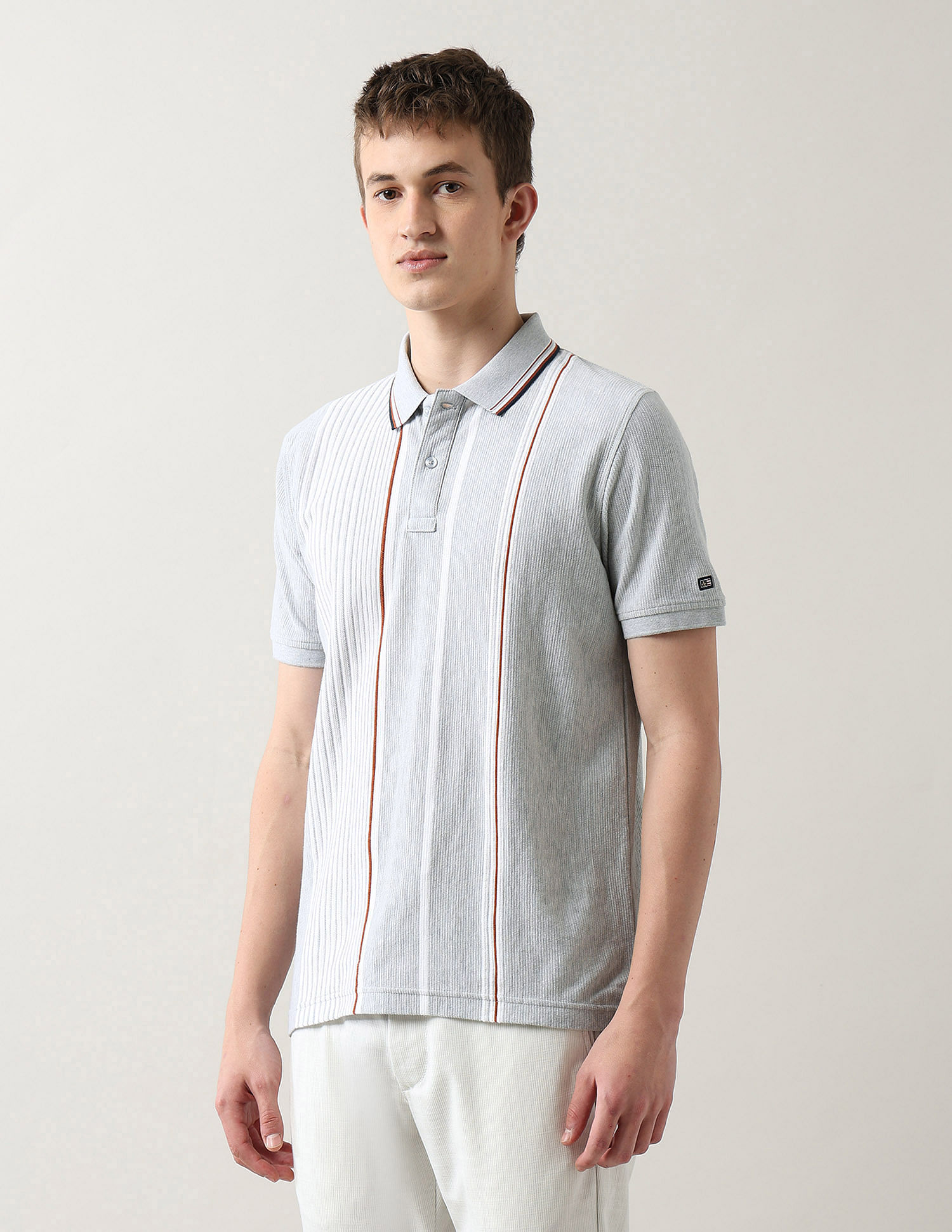 Arrow Sport Vertical Striped Regular Fit Polo Shirt