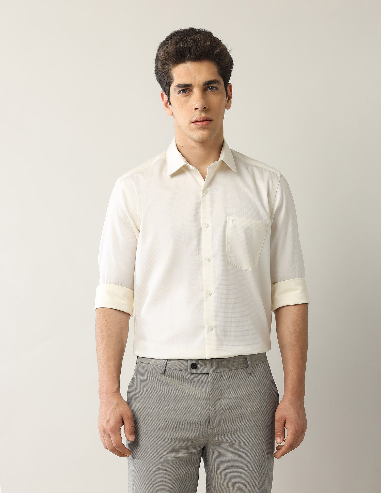 Arrow Micro Checked Autopress Shirt