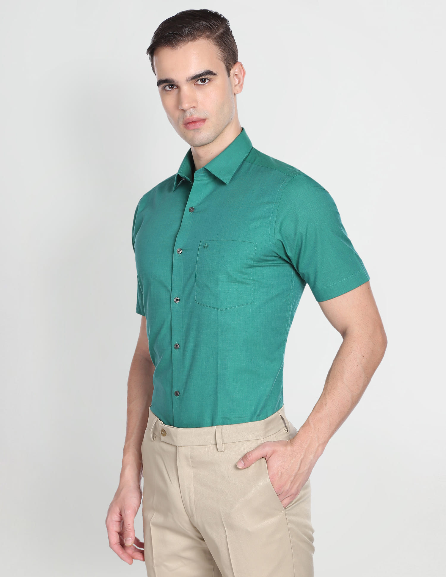 Buy Arrow Regular Fit Short Sleeve Formal Shirt - NNNOW.com