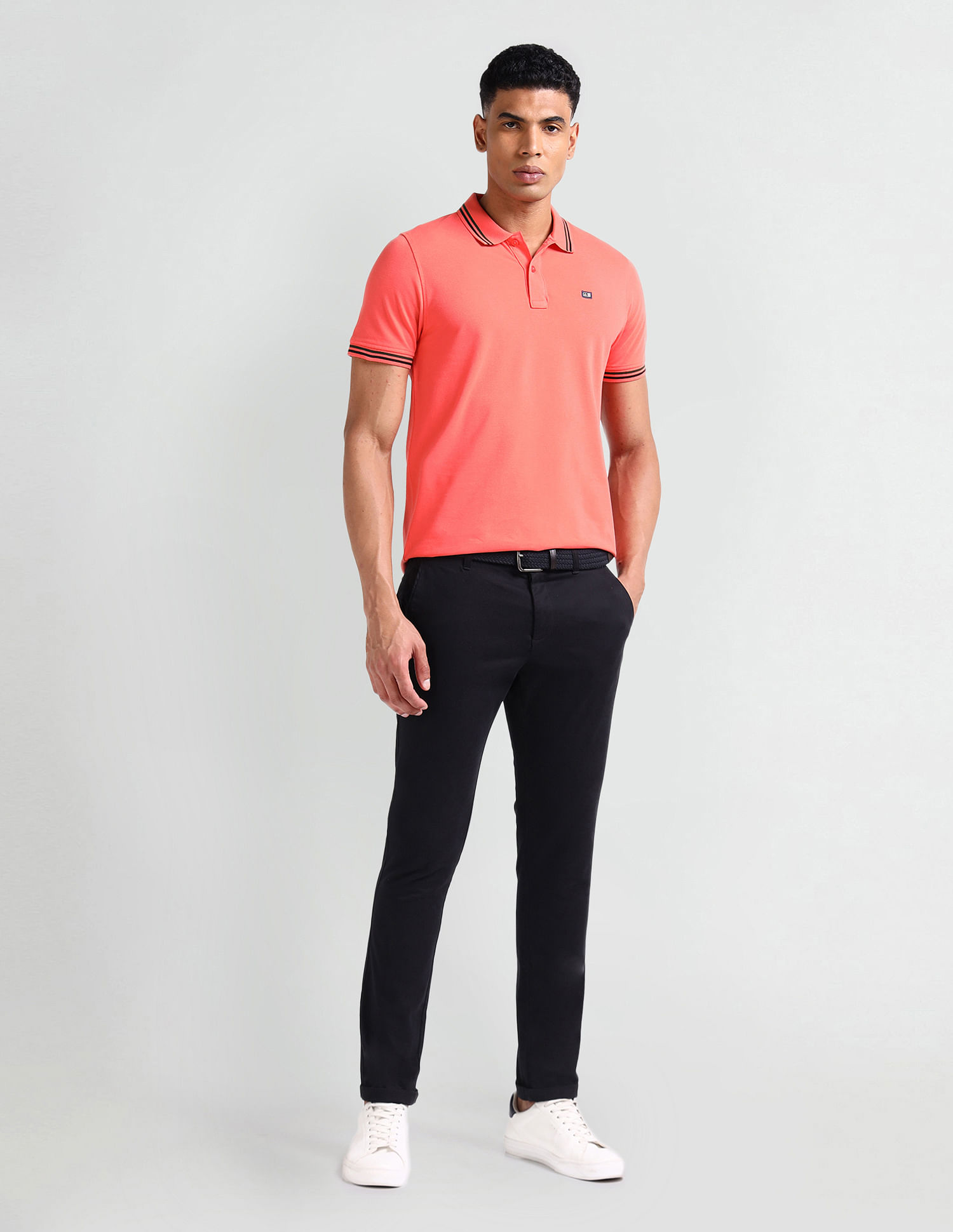 Arrow Sport Striped Collar Solid Polo Shirt