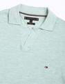 Tommy Hilfiger Printed Regular-Fit Cotton Polo Shirt