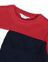 U.S. Polo Assn. Kids Boys Printed Regular Fit Sweater