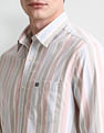 Arrow Sport Vertical Stripes Cotton Shirt
