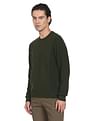 Arrow Crew Neck Solid Sweater