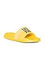 U.S. Polo Assn. Men Open Toe Striped Beesley 2.0 Slides