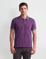 Arrow Sport Striped Collar Polo Shirt