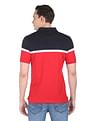 AD by Arvind Modern Fit Colour Block Polo Shirt