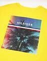 Tommy Hilfiger Solid Regular-Fit Cotton T-Shirt