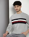 Tommy Hilfiger Transitional Cotton Brand Stripe Sweater