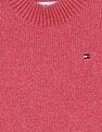 Tommy Hilfiger Kids Girls Ruffle Skater Dress Ls