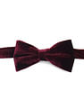 Arrow Men Pre Tied Velvet Bow Tie