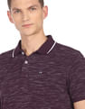 Arrow Sports Striped Collar Heathered Cotton Polo Shirt