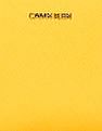 Calvin Klein Women Yellow Chain Trimmed Strap Sling Bag