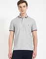 Tommy Hilfiger Graphic Regular Fit Polo