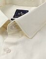 Arrow Micro Checked Autopress Shirt