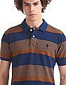 U.S. Polo Assn. Brown And Blue Striped Polo Shirt
